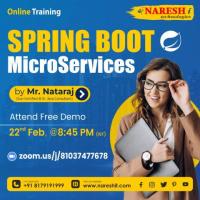 Best Spring boot and Micro services training institute in KPHB