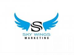 SkyWingsMarketing: Your Premier Logo Design Company in Delhi NCR