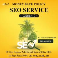 Top SEO Expert in Kolkata - Boost Your Online Visibility