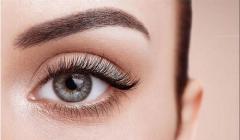 Top Lashes Suppliers for Quality and Variety