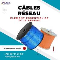 Cliquez sur Pinsol pour le câble réseau et la solution réseau