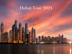 Dubai Travel Packages by Flamingo Travels - 2024