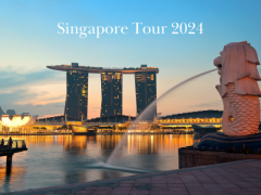 Singapore Holiday Packages In 2024 | Singapore Tourism | Flamingo Travels