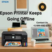 Epson Printer Keeps Going Offline | +1-844-892-5742| Epson Printer Support