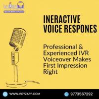Professional Voice Over Actor | Voice Over Marketplace in India