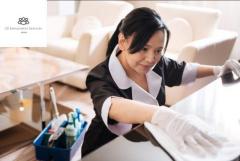 Your Indonesian Maid Solution: CK Employment SG