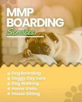 Book Secured and Verified Dog Sitter in Pune | Mr n Mrs Pet