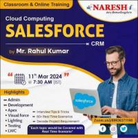 Best Salesforce Training in Ameerpet - Naresh IT