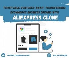 Profitable Ventures Await: Transforming Ecommerce Business Dreams With AliExpress Clone