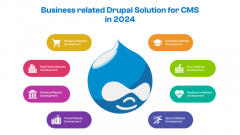 Business related Drupal Solution for CMS in 2024
