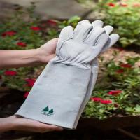 Looking for the Best Leather Gardening Gloves? Fir Tree Has You Covered!