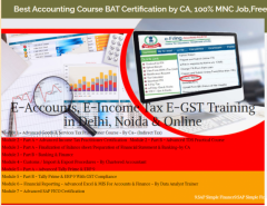 E-Accounting Course in Delhi । SAP FICO Course in Noida । BAT Course by SLA