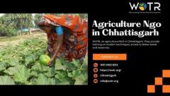 Top Agriculture Ngo in Chhattisgarh