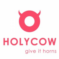 Animated Business Presentation | HolyCow