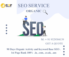 Experienced SEO Providers in Pune