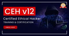 Ethical Hacker Certification Training Course