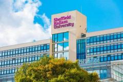 Unlocking Your Potential: The Master's in Management (MiM) Program at the University of Sheffield