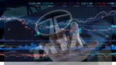 Tata Technologies share price target 2024
