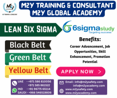 Six Sigma Online Course