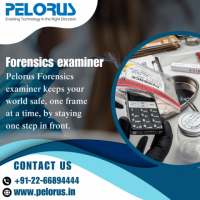 Forensics examiner | Pelorus