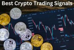 Verified Crypto Trading Experts: Access the Best Signals for Profitable Trading