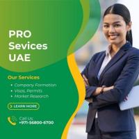 Headline: Streamline Your Business in the UAE: Professional PRO Services