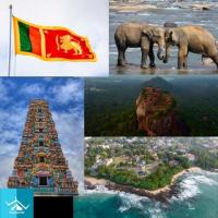 Sri Lanka's Top 10 National Parks for Seeing Wildlife