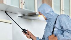 Fast and Reliable Bug Pest Control in Houston: Restore Your Peace of Mind