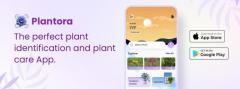 The Free Plant Identifier and Best Plant Care App