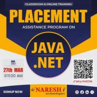 Placement Assistance Program On JAVA Developer & .Net - Naresh IT