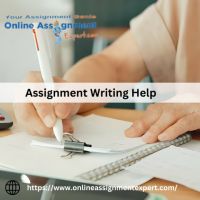 Get Top Grades with OnlineAssignmentExpert's Professional Writing Assistance!