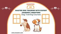 Master Dog Training with Expert Courses Snouters