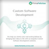 Unleash Productivity with Custom Software Development Solutions
