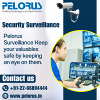 Pelorus | Security Surveillance