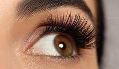 Top Eyelash Supplier for Quality Products and Reliable Service