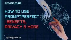 How To Use PromptPerfect | Benefits, Privacy & More