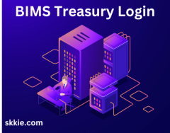 BIMS Treasury Login