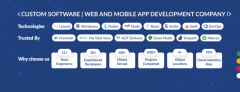 Travel App Development Company | Travel website development services
