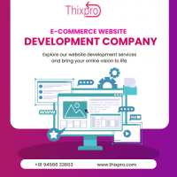Best e-commerce Website Development Company in Noida
