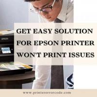 Get Easy Solution for Epson Printer Won't Print Issues