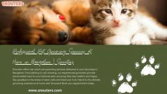 Professional Pet Grooming Services at Home in Bangalore | Snouters	