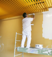#1 Top-Rated Painting Services by Highly-Skilled Painters in Perth