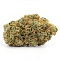 Buy Weed Online in Canada from Express Buds