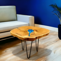 Sleek and Stylish: Explore and Buy Woodensure Center Tables Online