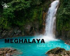 Adventure Beckons: Embark on a Mesmerizing Meghalaya Road Trip