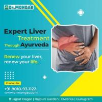 Liver Treatment in Rohini, Delhi - 8010931122