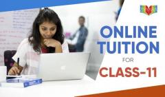 Master Your 11th Grade with Expert Online Tuition at Ziyyara
