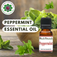 Buy Organic Peppermint Essential Oil
