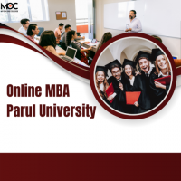  Change Your Career with Parul University Online MBA Program