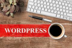  Wordpress Development Services